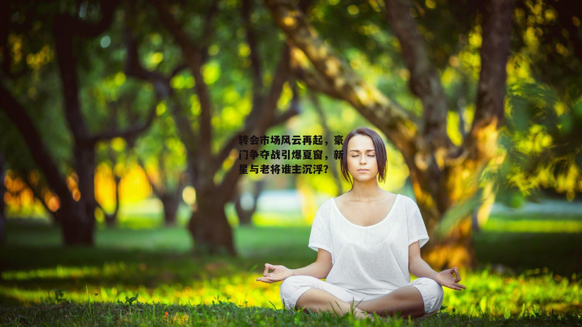 米兰体育官方网站_转会市场风云再起，豪门争夺战引爆夏窗，新星与老将谁主沉浮？
